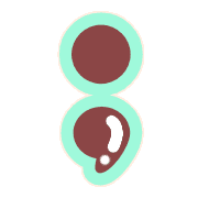 243