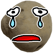 010
