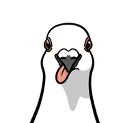 026