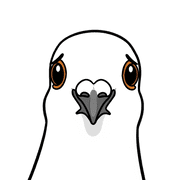 030