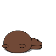 026