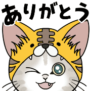 003