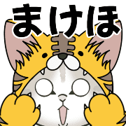 008