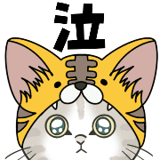 020