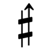 019