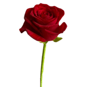 017