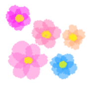 005