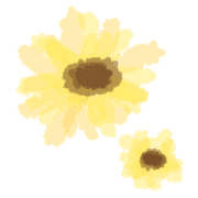 017