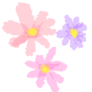 019