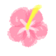 026