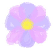 031