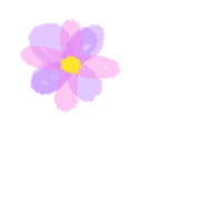 037