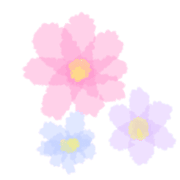 003