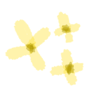031