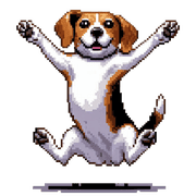009