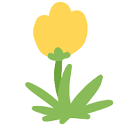 039