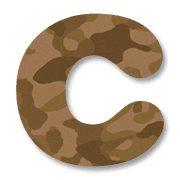 003