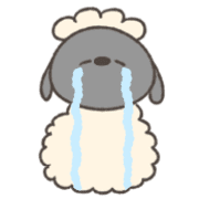 019