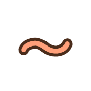 224