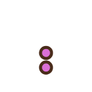 244