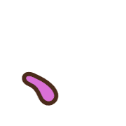 256