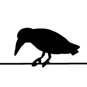 ลายที่ 40