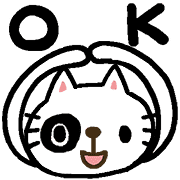003