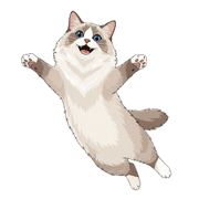 021