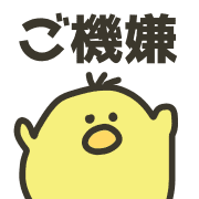 023