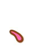 256