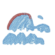 009