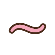 224