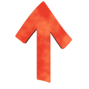 029
