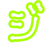 142