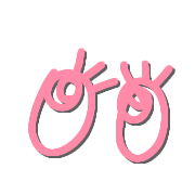 019