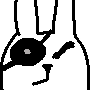 020