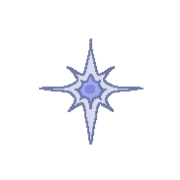 029