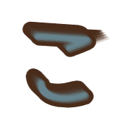 010