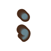 243