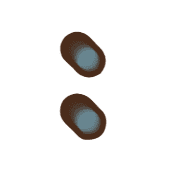 244