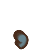 245