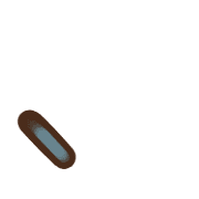 256