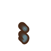 243