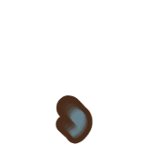 245