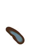256