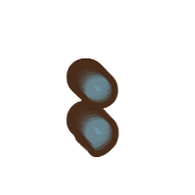 243