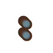 244