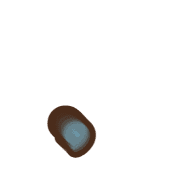 245