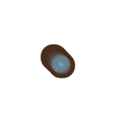 253