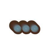 257